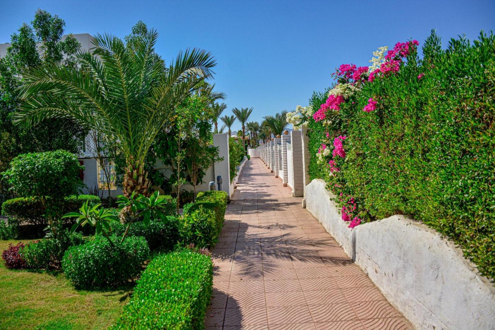 Desert View Sharm Hotel Esterno foto